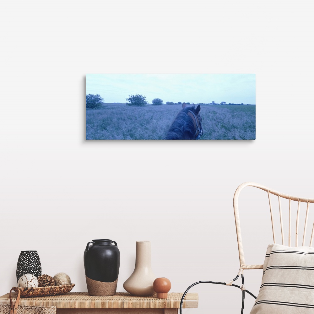 A farmhouse room featuring Horse in a field, Illinois