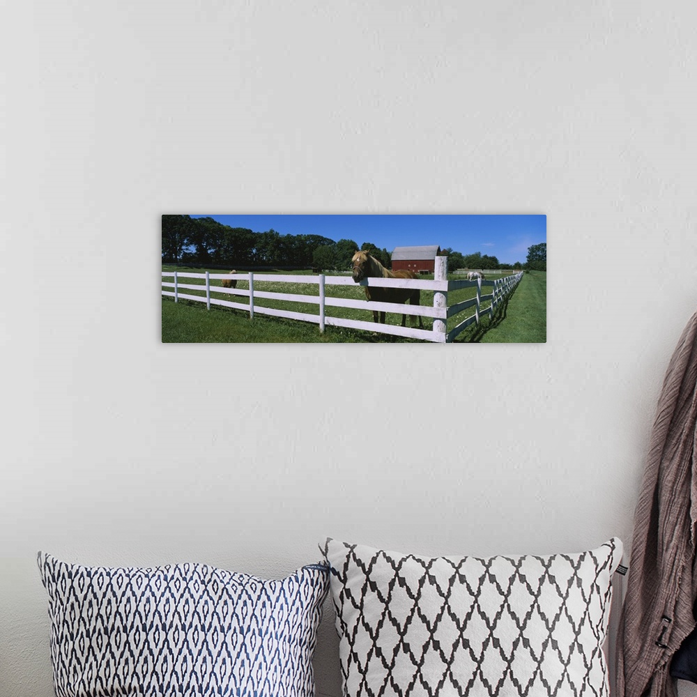 A bohemian room featuring Horse peeking over a fence on a farm, Kent County, Michigan