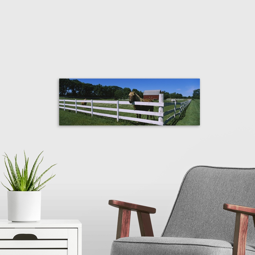A modern room featuring Horse peeking over a fence on a farm, Kent County, Michigan