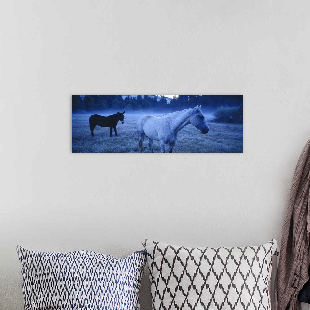 A bohemian room featuring Oversized, landscape photograph of a horse and a donkey standing in a lightly foggy field just be...