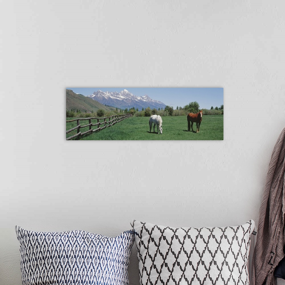 A bohemian room featuring Large, panoramic photograph of two horses grazing in a fenced field near a hillside, snow covered...