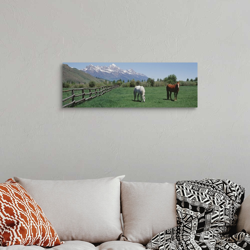 A bohemian room featuring Large, panoramic photograph of two horses grazing in a fenced field near a hillside, snow covered...