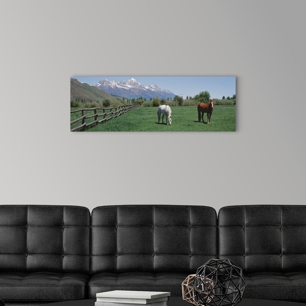 A modern room featuring Large, panoramic photograph of two horses grazing in a fenced field near a hillside, snow covered...