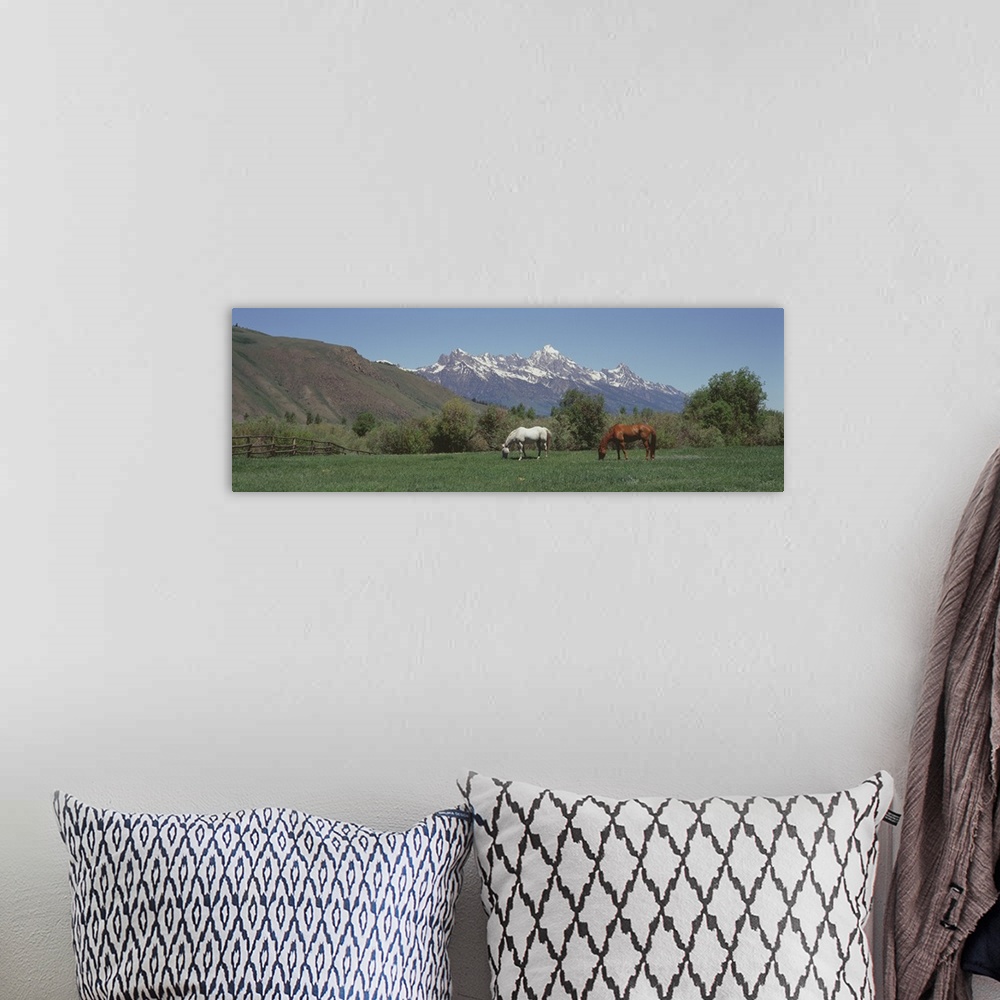 A bohemian room featuring Horses and Teton Range Grand Teton National Park WY