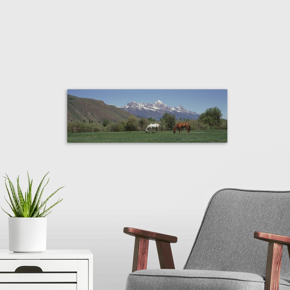 A modern room featuring Horses and Teton Range Grand Teton National Park WY
