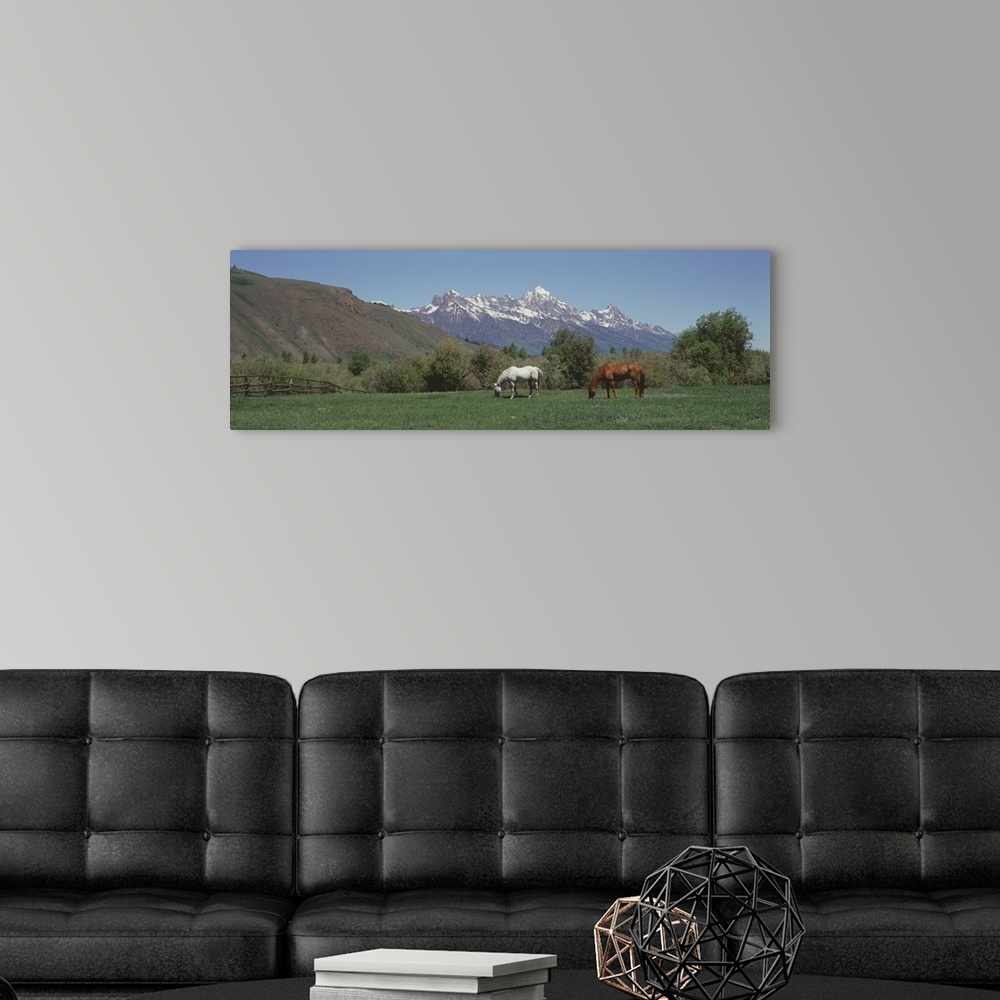 A modern room featuring Horses and Teton Range Grand Teton National Park WY