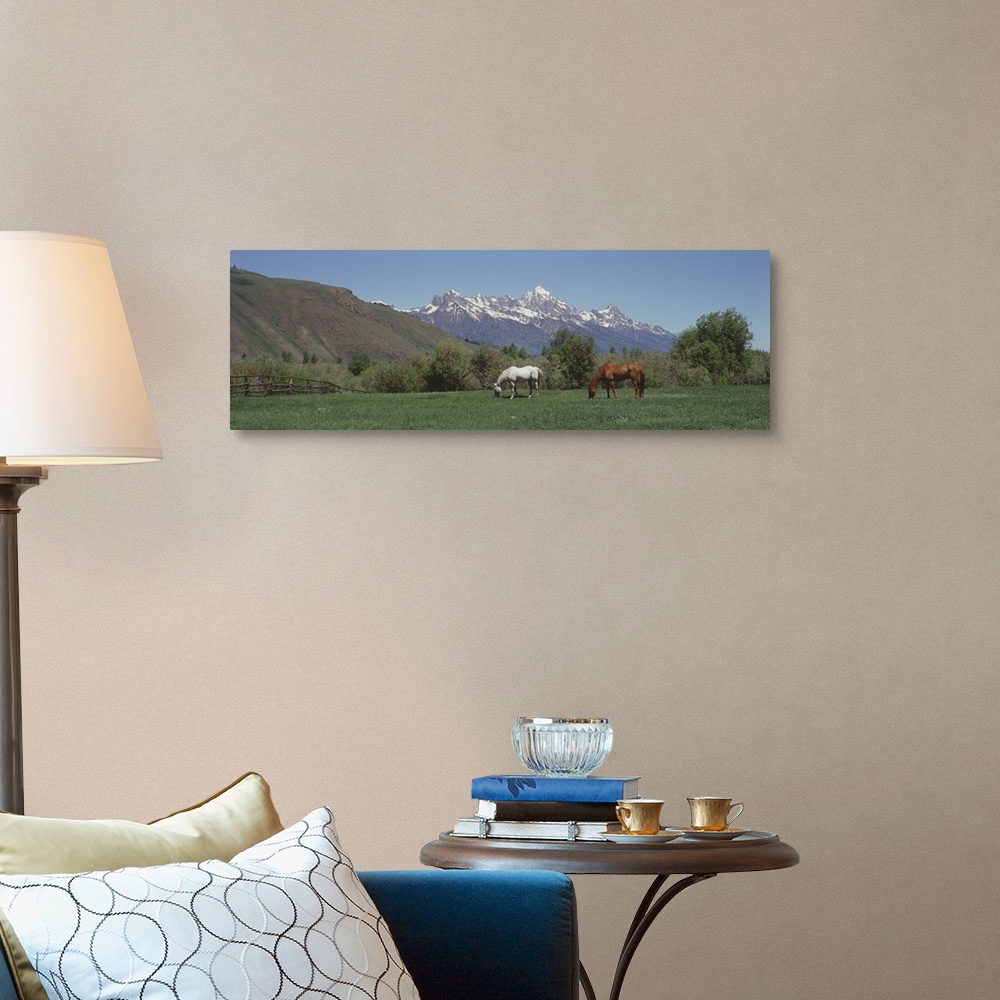 A traditional room featuring Horses and Teton Range Grand Teton National Park WY