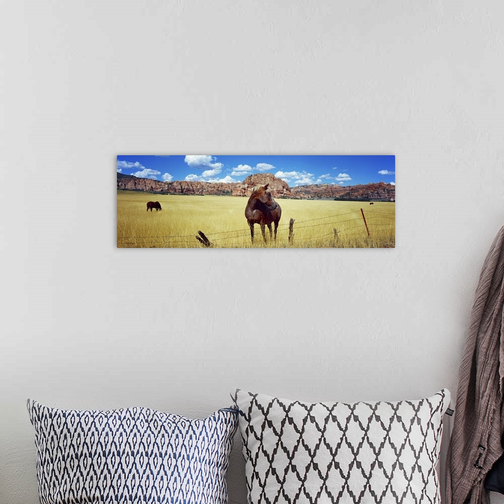 A bohemian room featuring Horses grazing in a meadow, Kolob Reservoir, Utah