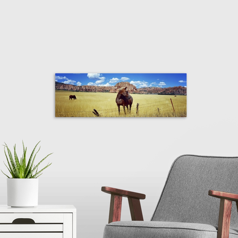 A modern room featuring Horses grazing in a meadow, Kolob Reservoir, Utah