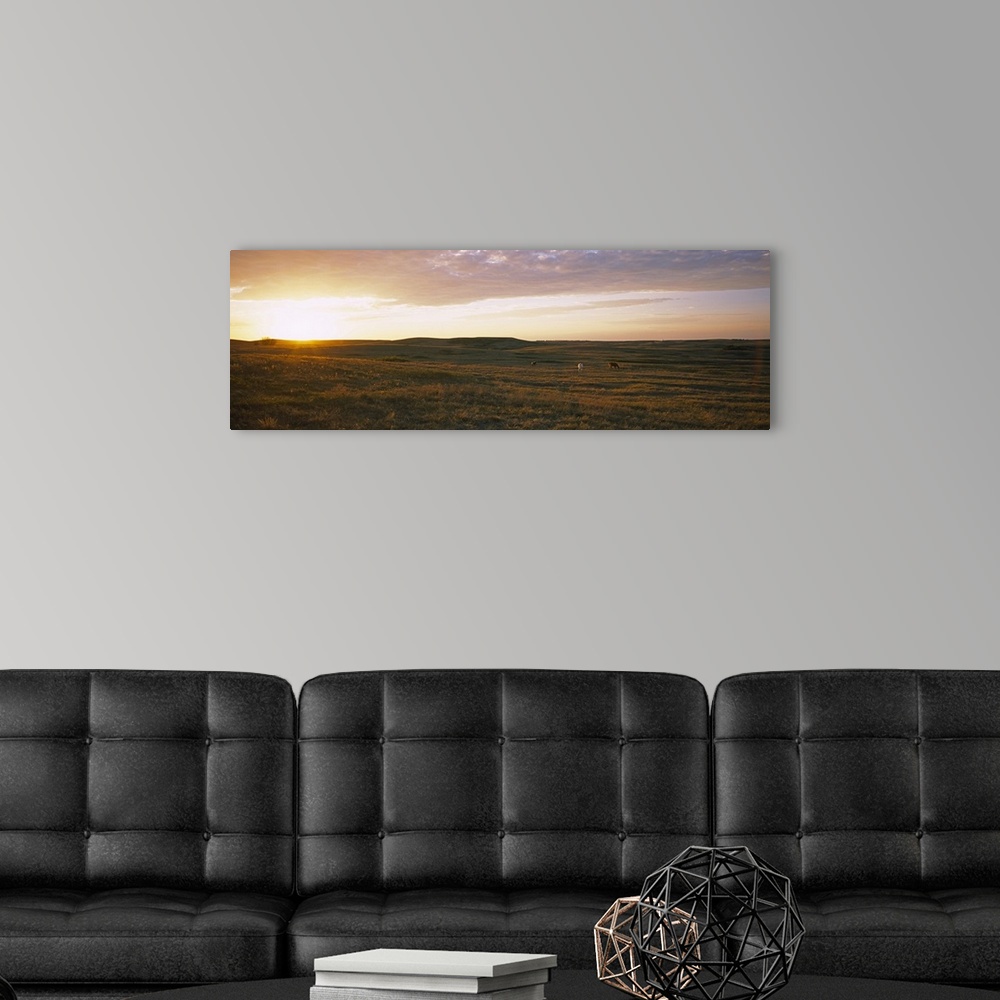 A modern room featuring Horses in a field at sunset, North Dakota