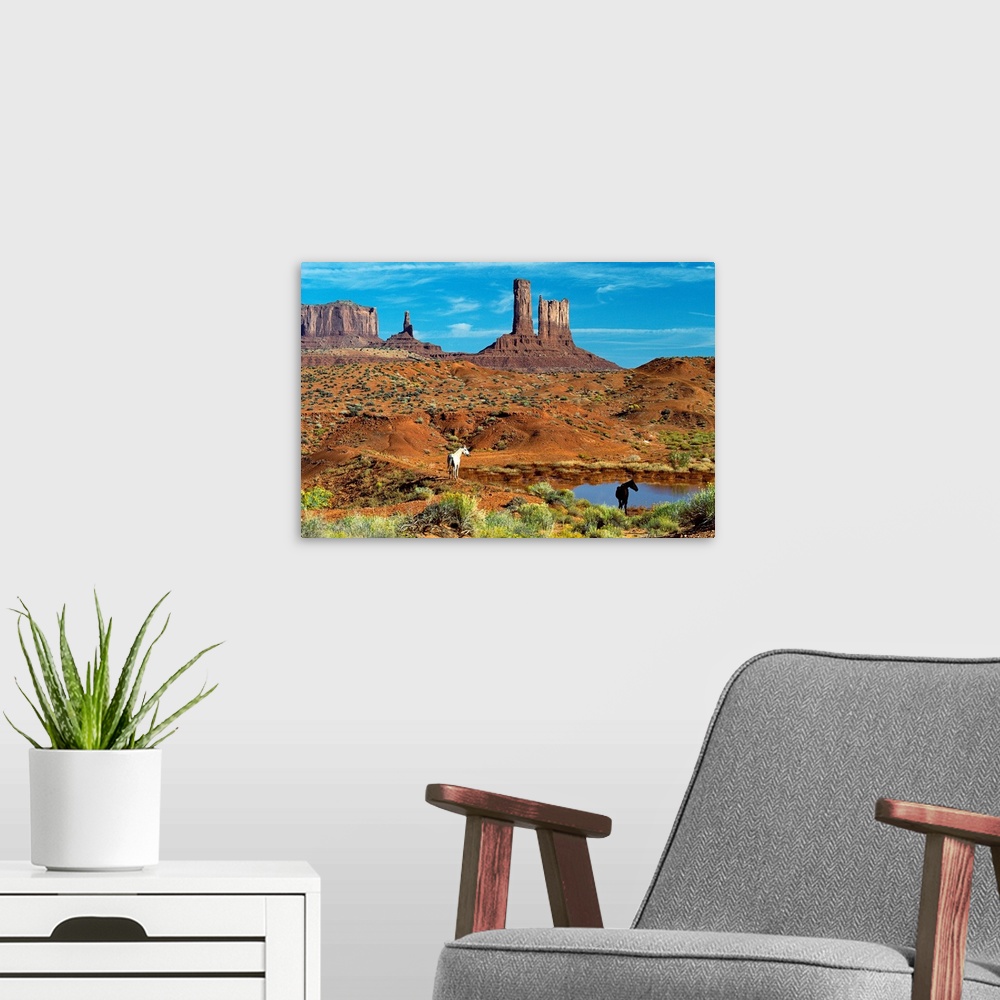 A modern room featuring Photograph of Monument Valley in Colorado featuring clusters of sandstone buttes, rocky plateaus,...