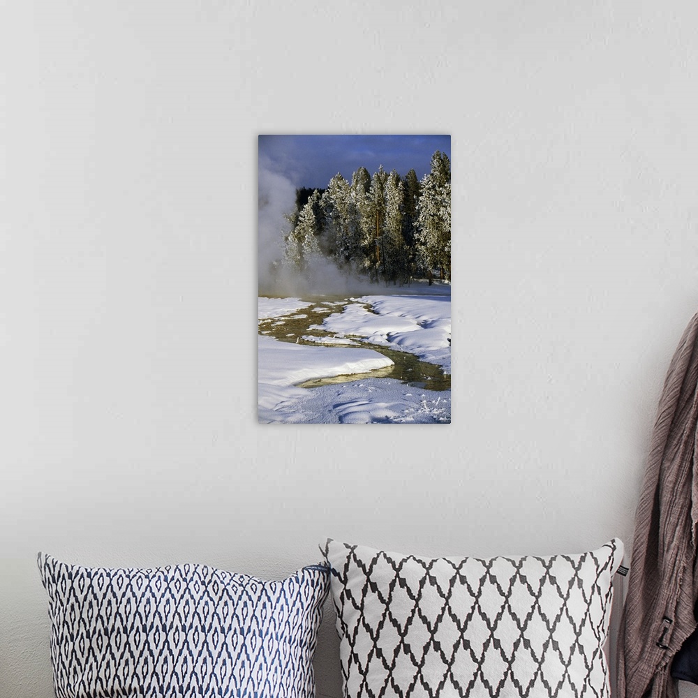 A bohemian room featuring Hot springs in snow, frosted pine tree forest, Yellowstone National Park, Wyoming