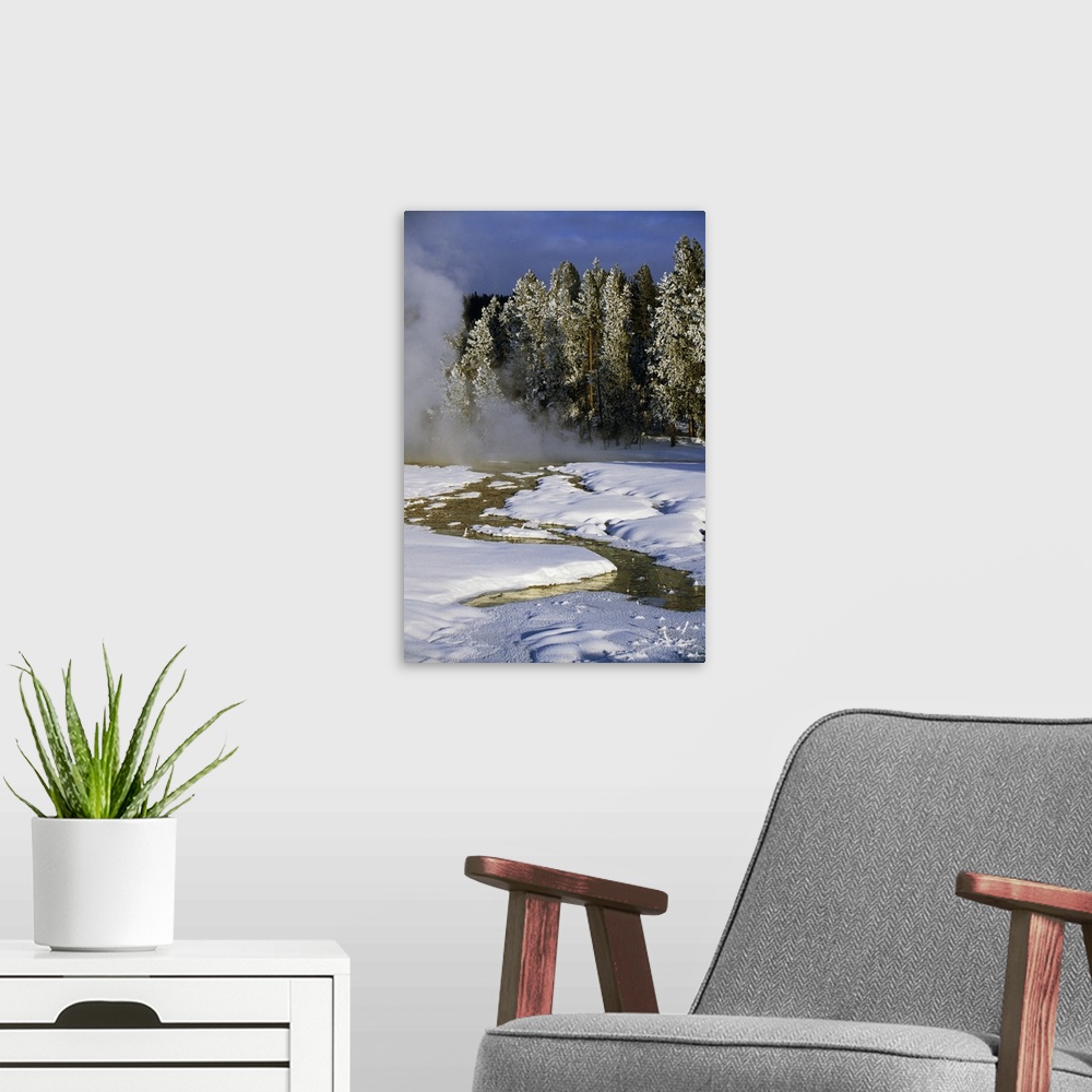 A modern room featuring Hot springs in snow, frosted pine tree forest, Yellowstone National Park, Wyoming