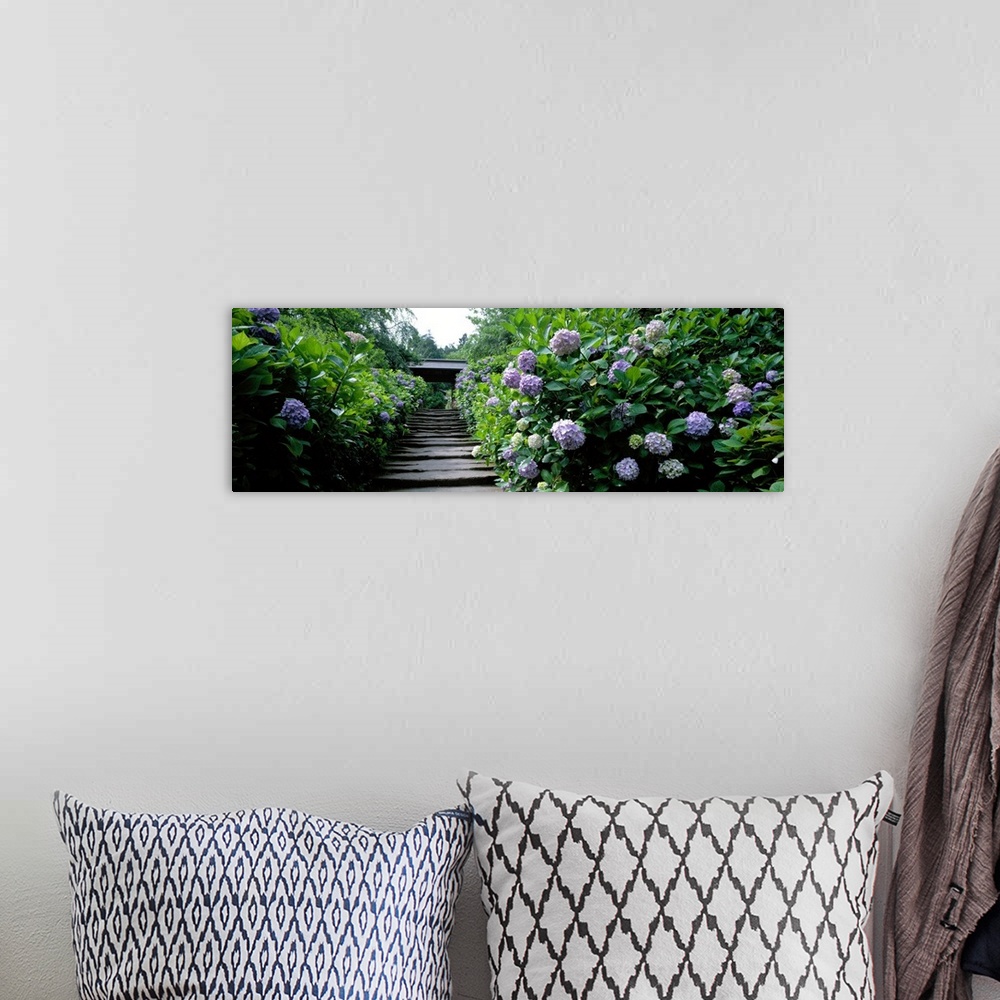 A bohemian room featuring Panoramic photograph of stairway in garden lined with dense greenery and flowers.