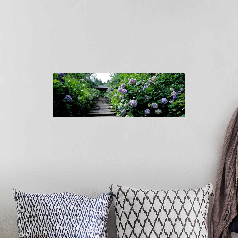 A bohemian room featuring Panoramic photograph of stairway in garden lined with dense greenery and flowers.