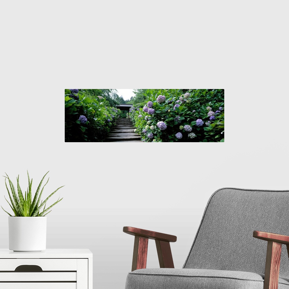 A modern room featuring Panoramic photograph of stairway in garden lined with dense greenery and flowers.