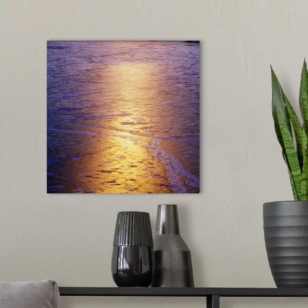 A modern room featuring Ice patterns and sunset reflection on water, Mississippi River, Upper Mississippi National Wildli...