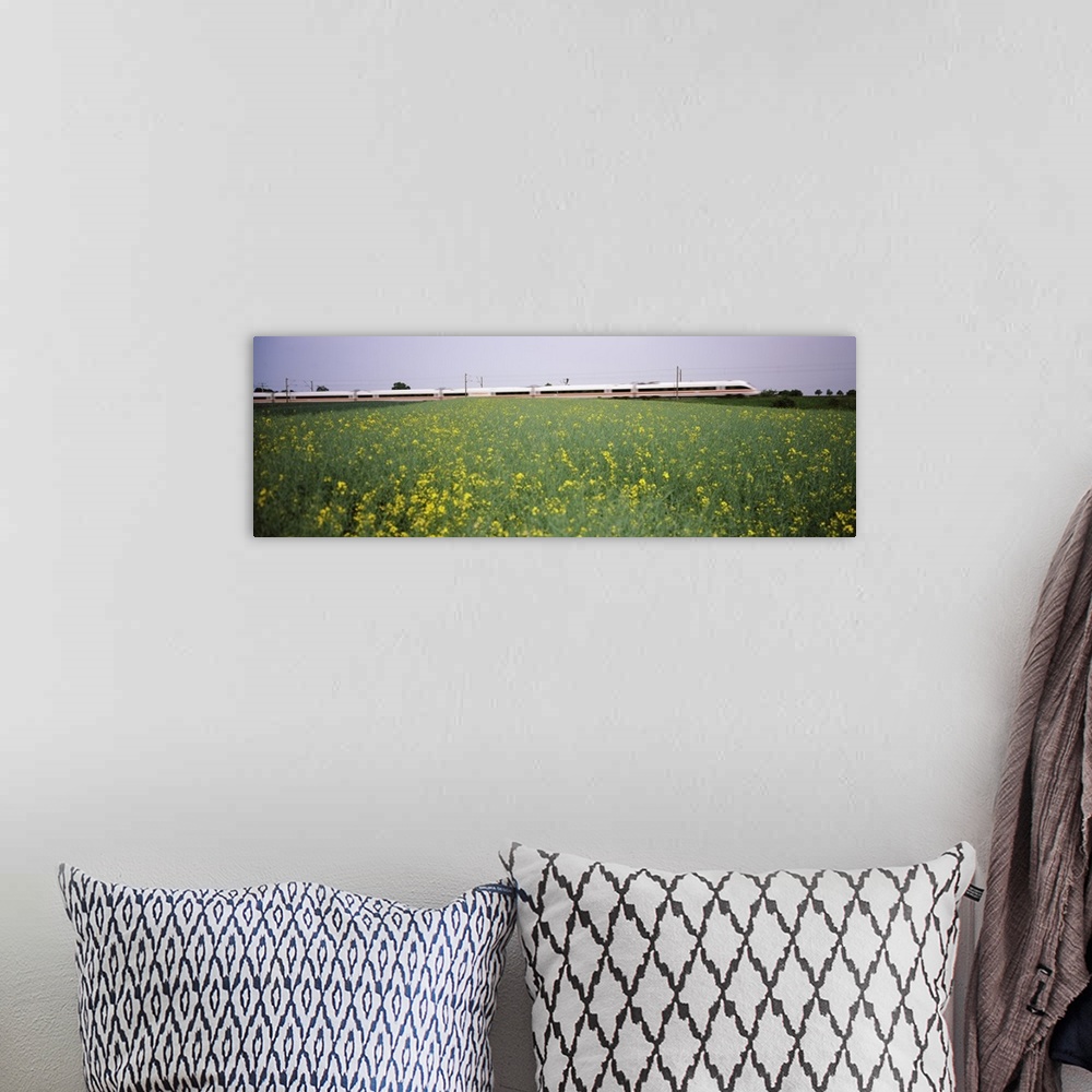 A bohemian room featuring ICE Train passing through oilseed rape (Brassica napus) field, Baden-Wurttemberg, Germany