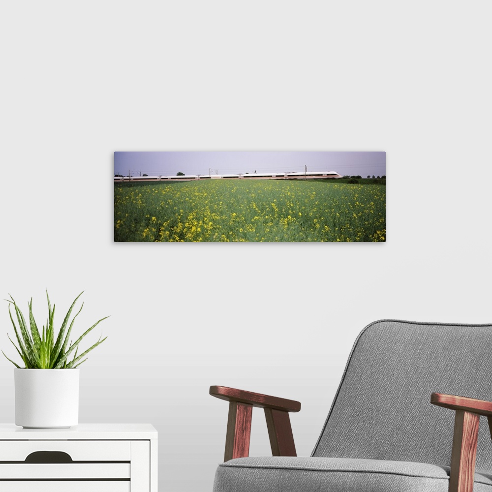 A modern room featuring ICE Train passing through oilseed rape (Brassica napus) field, Baden-Wurttemberg, Germany