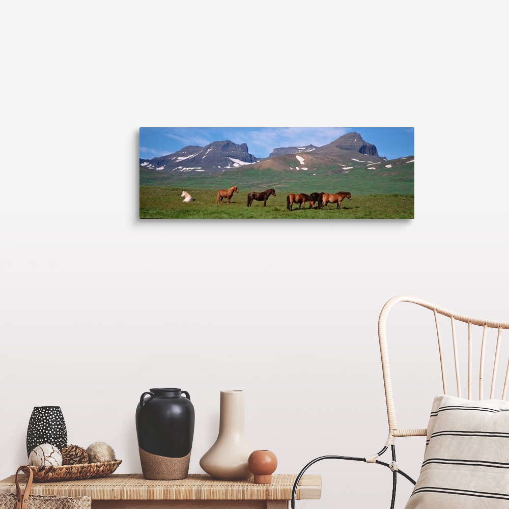 A farmhouse room featuring Iceland, Borgarfjordur, Horses standing and grazing in a meadow