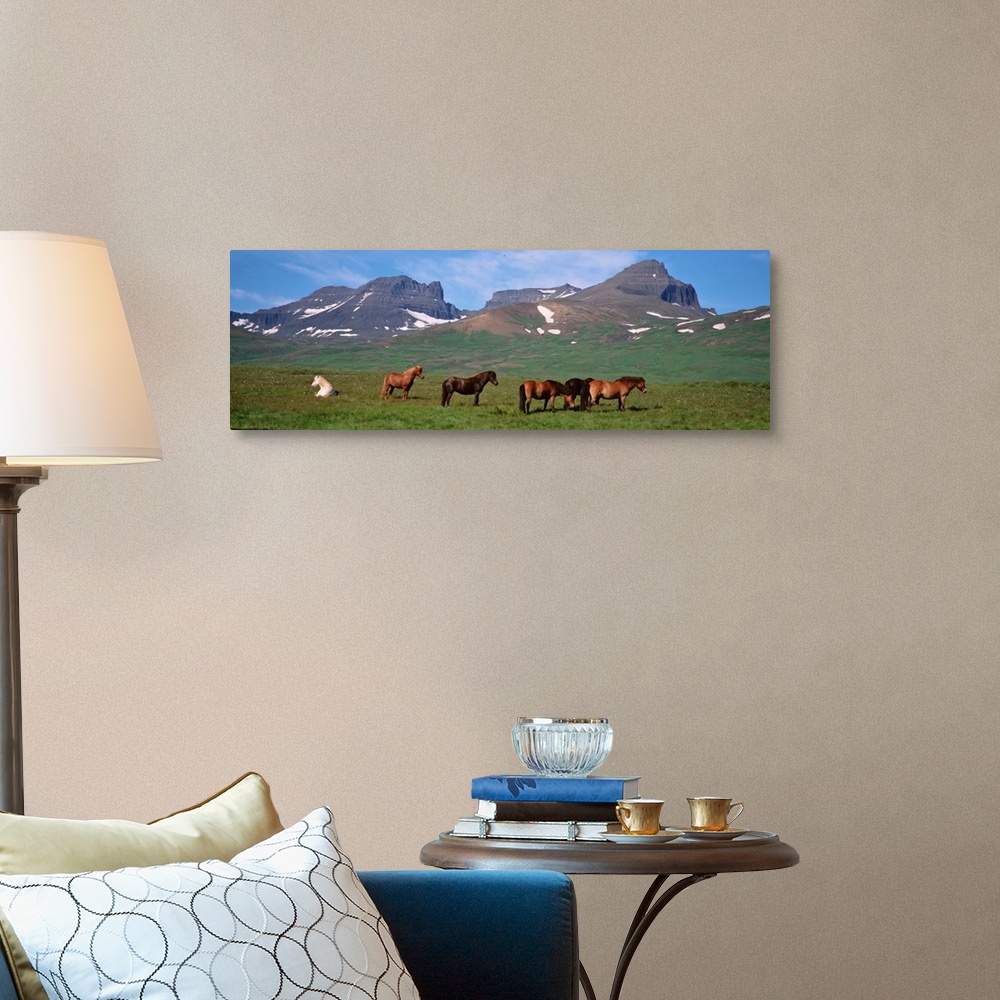 A traditional room featuring Iceland, Borgarfjordur, Horses standing and grazing in a meadow