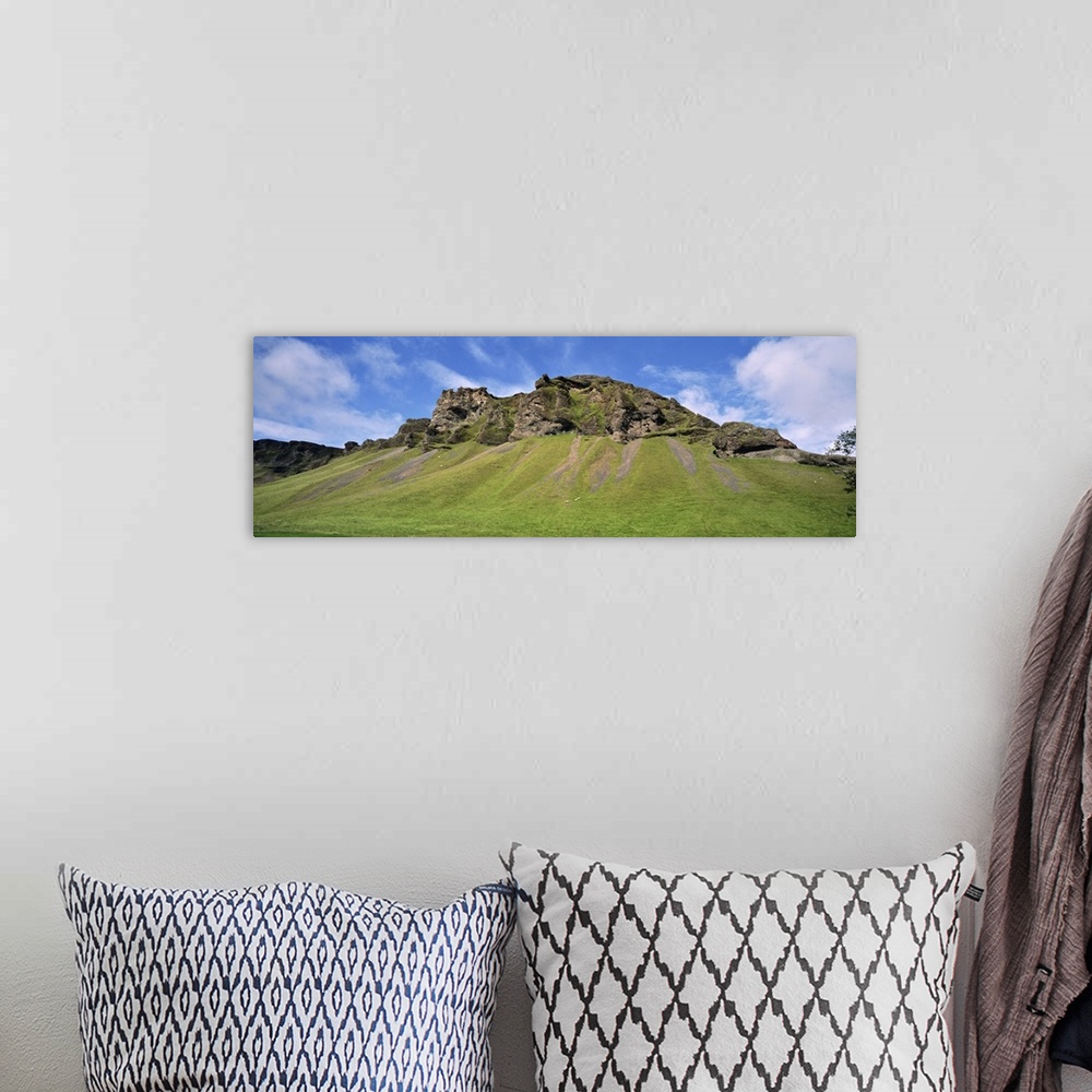 A bohemian room featuring Iceland, South Coast, Sheep grazing in the uncultivated landscape