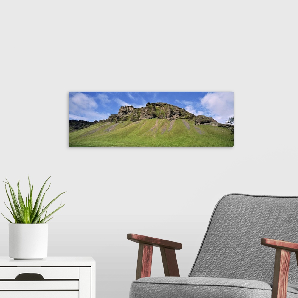 A modern room featuring Iceland, South Coast, Sheep grazing in the uncultivated landscape