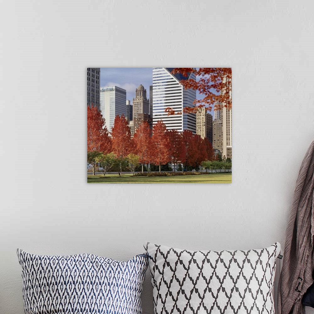 A bohemian room featuring Illinois, Chicago, Millennium Park, Trees in a park during Autumn