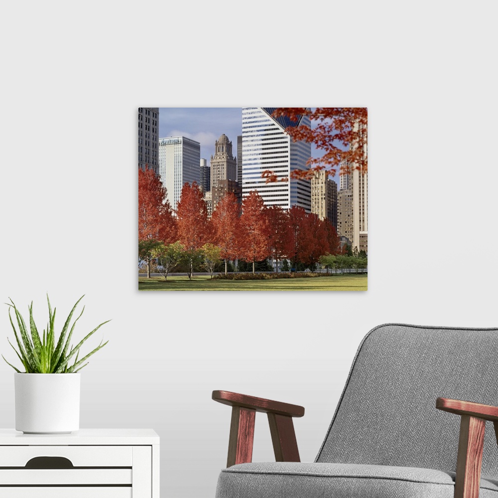 A modern room featuring Illinois, Chicago, Millennium Park, Trees in a park during Autumn