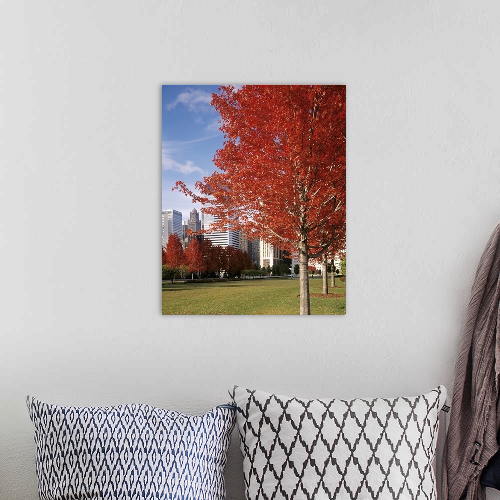 A bohemian room featuring Illinois, Chicago, Millennium Park, Trees in a park during Autumn