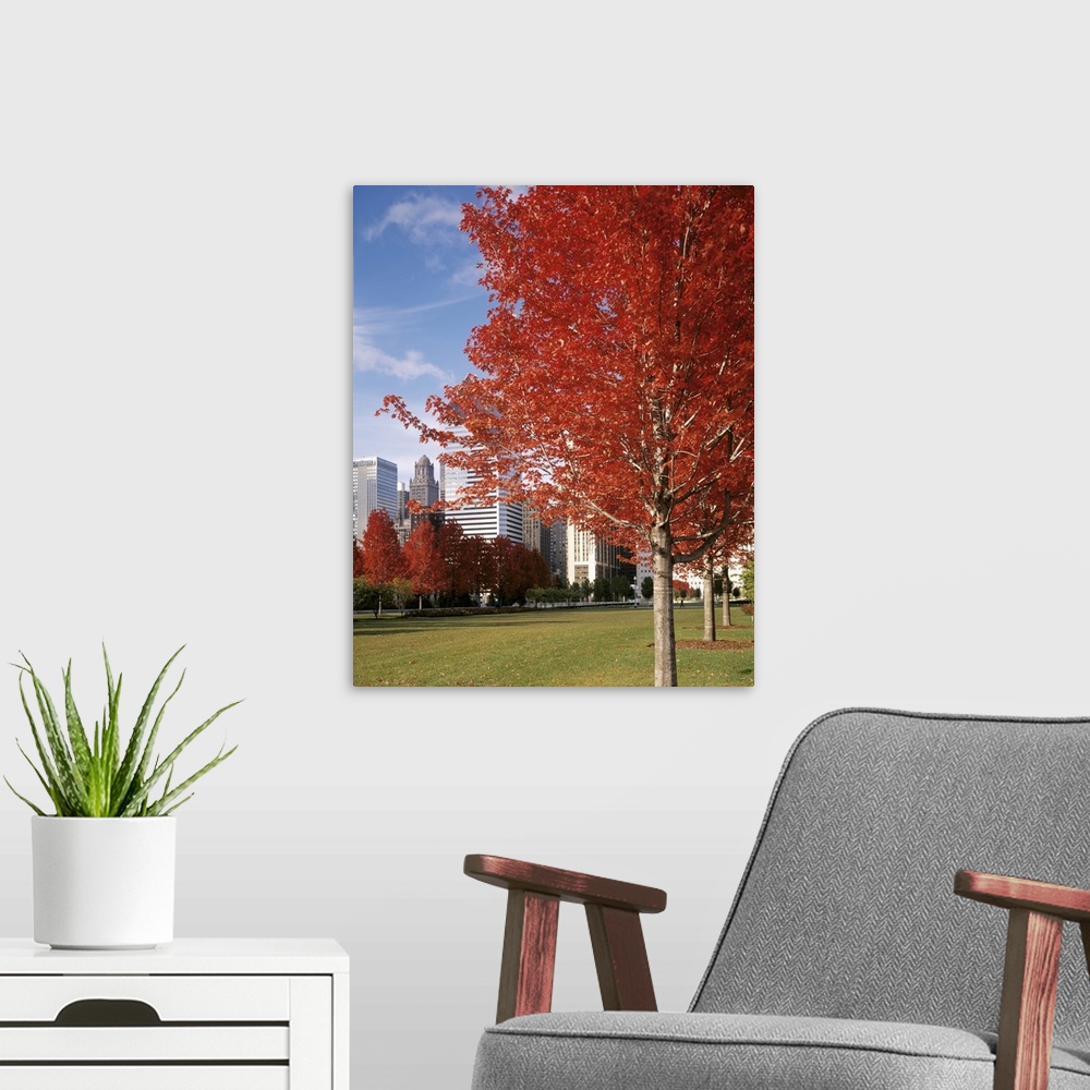 A modern room featuring Illinois, Chicago, Millennium Park, Trees in a park during Autumn