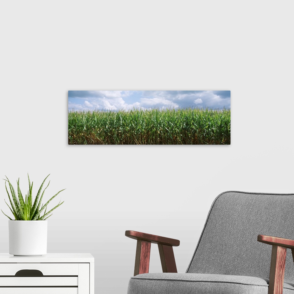 A modern room featuring Illinois, Christian County, cornfield