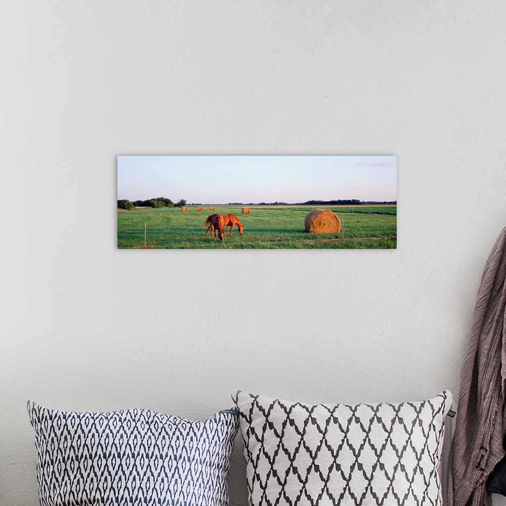 A bohemian room featuring Illinois, Marion County, horses and hay
