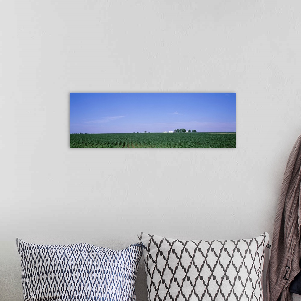 A bohemian room featuring Illinois, Marion County, View of a corn field
