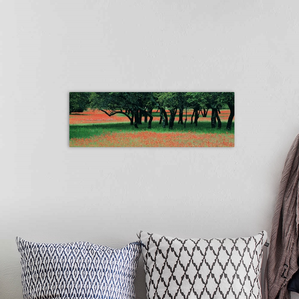 A bohemian room featuring This is a panoramic photograph of wildflowers growing in a field surrounding a small cluster of t...