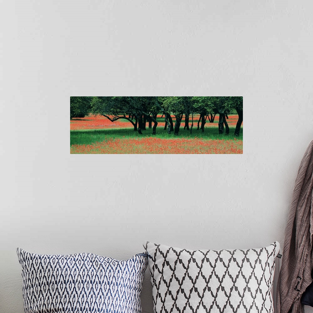 A bohemian room featuring This is a panoramic photograph of wildflowers growing in a field surrounding a small cluster of t...