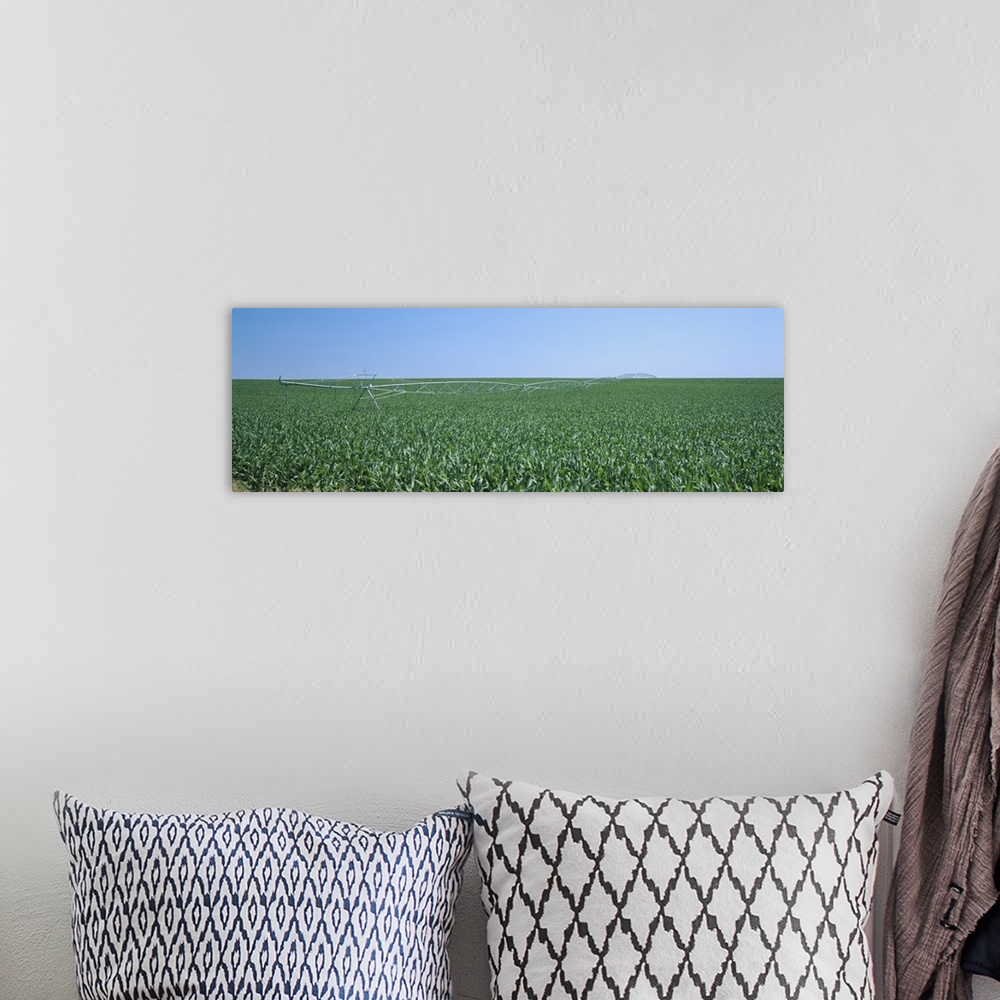 A bohemian room featuring Irrigation pipeline in a corn field, Kearney County, Nebraska