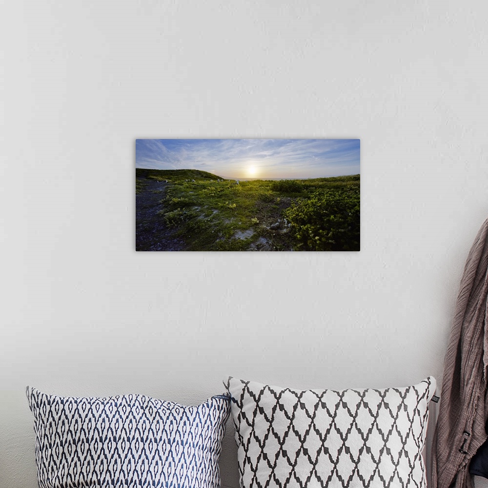 A bohemian room featuring Island at dusk, Anacapa Island, Channel Islands National Park, California