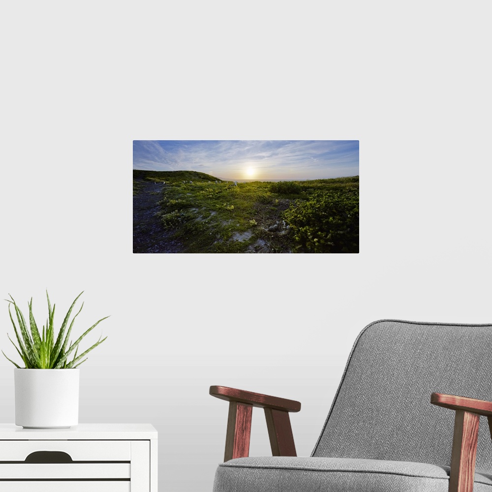 A modern room featuring Island at dusk, Anacapa Island, Channel Islands National Park, California