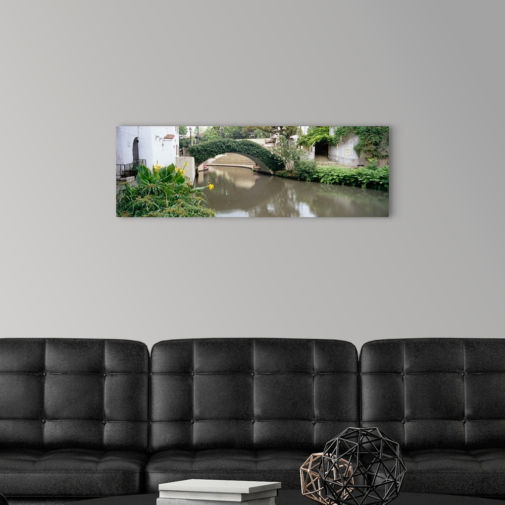 A modern room featuring Ivy covering a foot bridge, San Antonio River, San Antonio River Walk, San Antonio, Texas