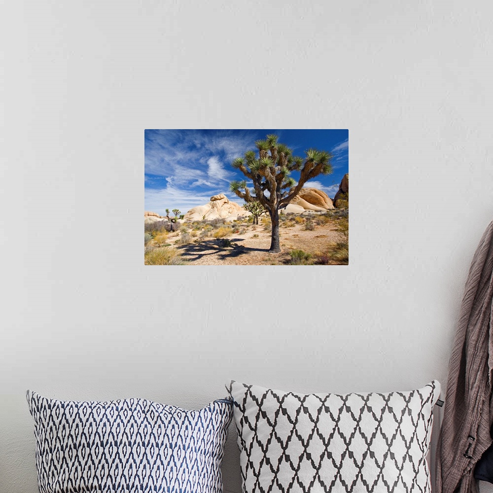 A bohemian room featuring Large photograph emphasizes a lone tree sitting within a desert landscape of California.  Surroun...