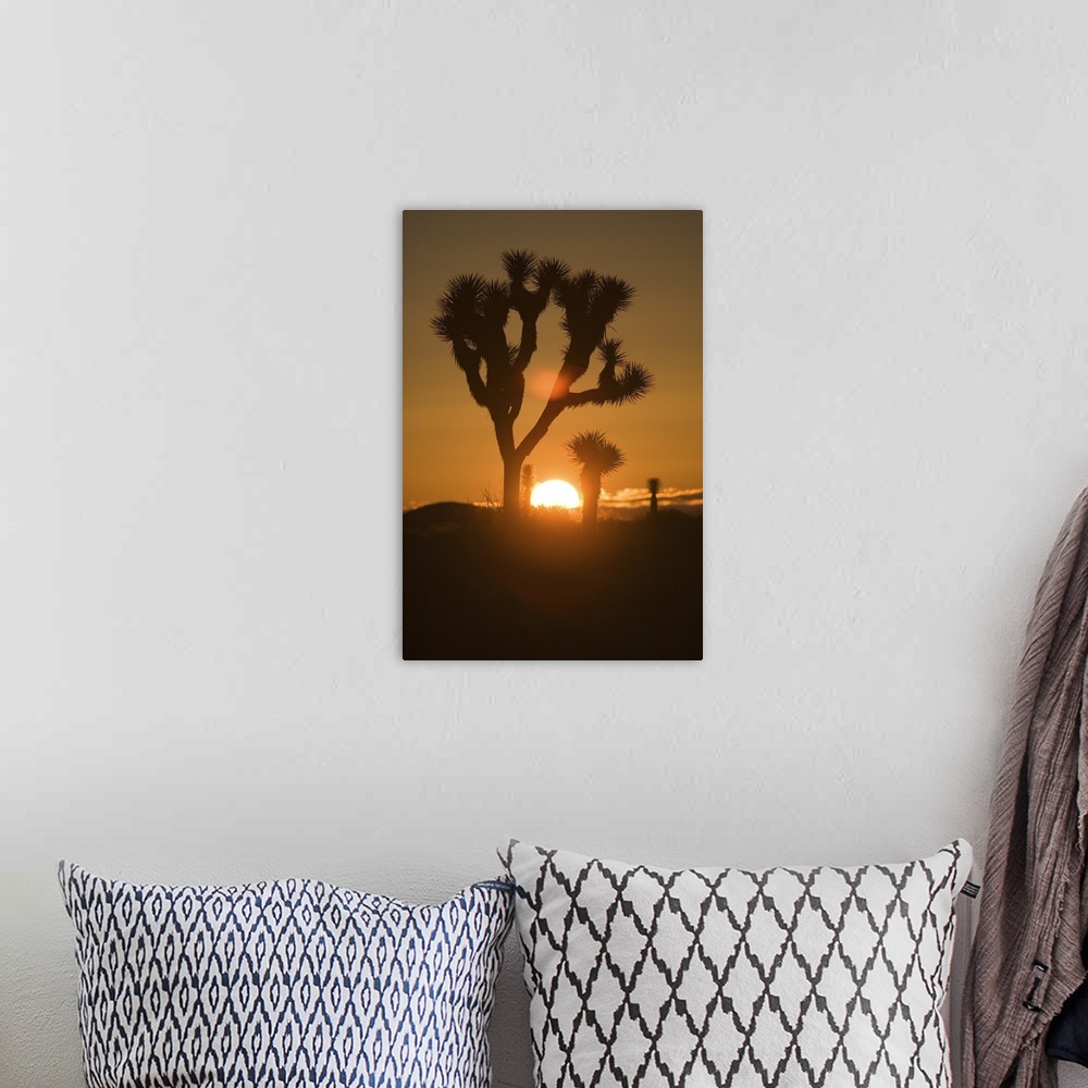 A bohemian room featuring Tall canvas of trees in the desert silhouetted against a setting sun.