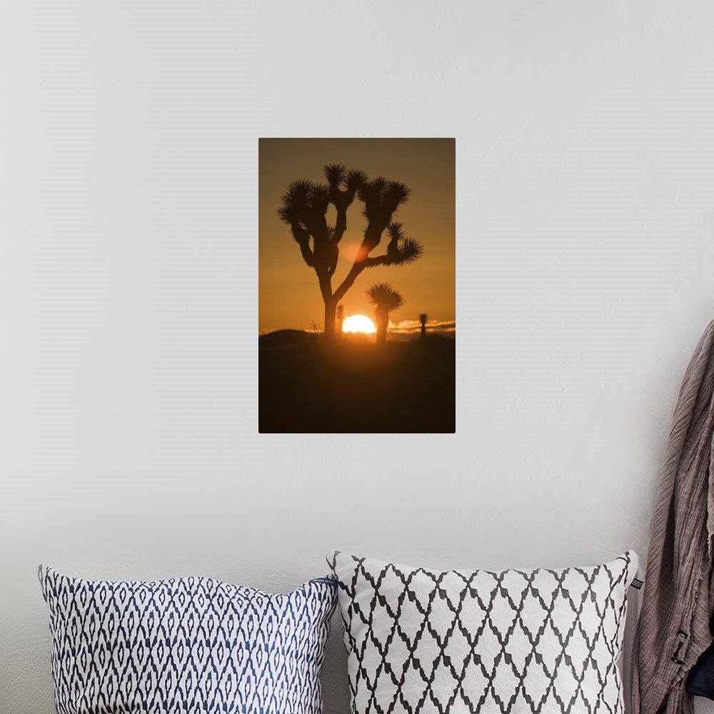 A bohemian room featuring Tall canvas of trees in the desert silhouetted against a setting sun.