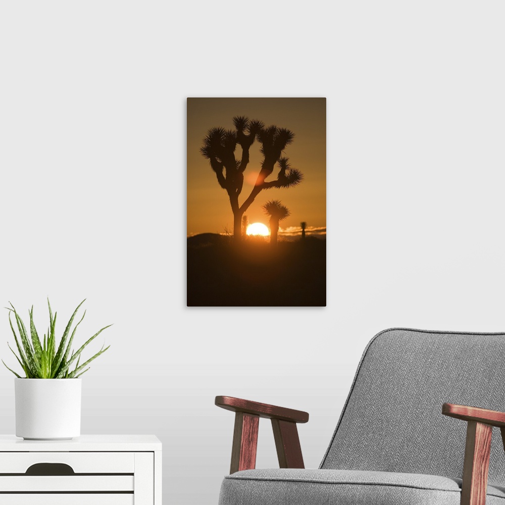 A modern room featuring Tall canvas of trees in the desert silhouetted against a setting sun.
