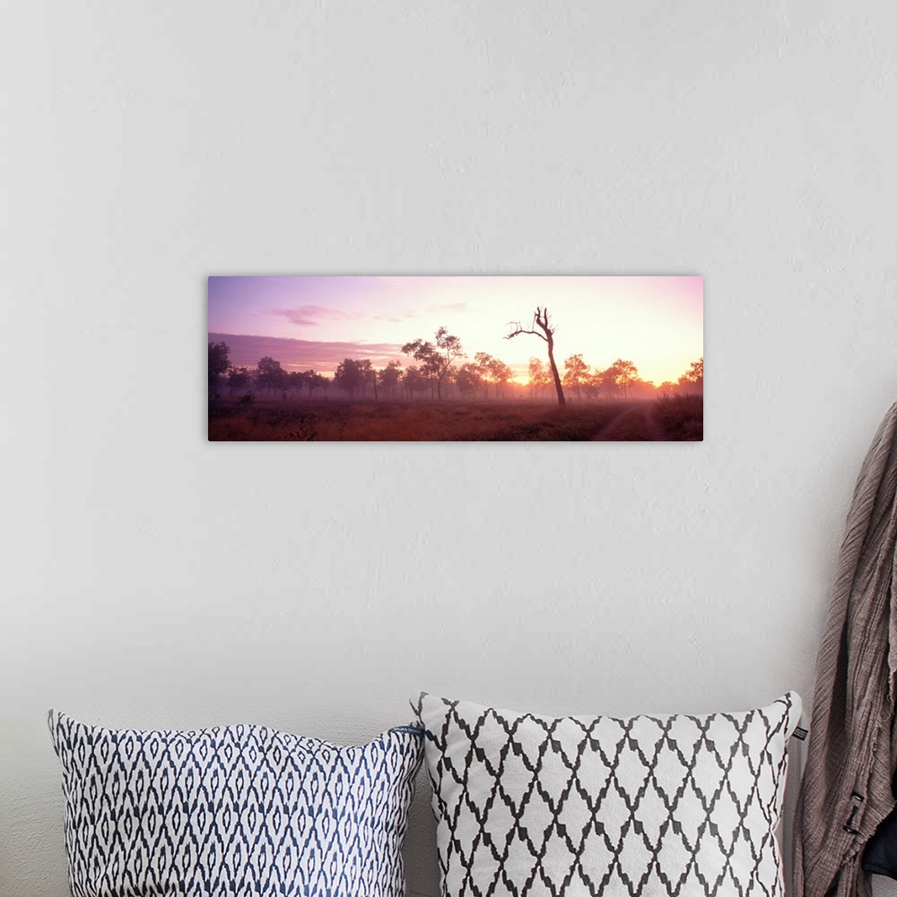 A bohemian room featuring Kakadu National Park Northern Territory Australia