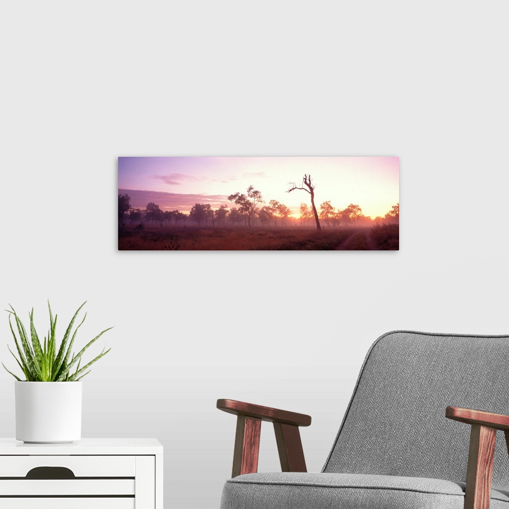 A modern room featuring Kakadu National Park Northern Territory Australia