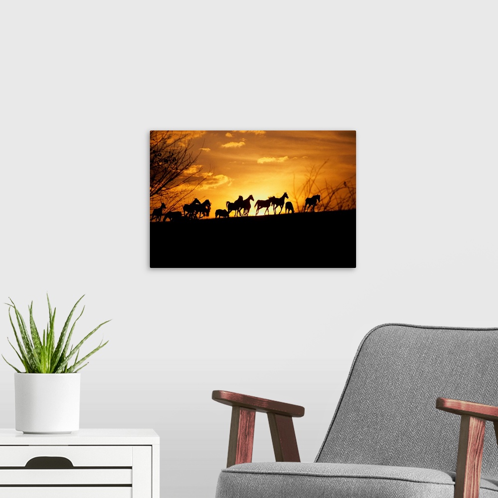 A modern room featuring Large wall art of the silhouettes of horses running contrasted against a warm sunset.