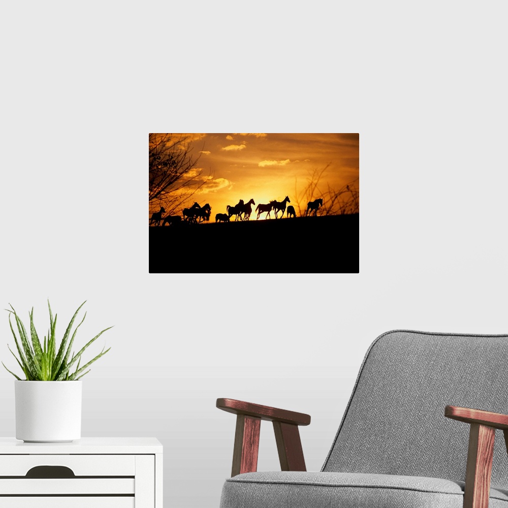 A modern room featuring Large wall art of the silhouettes of horses running contrasted against a warm sunset.