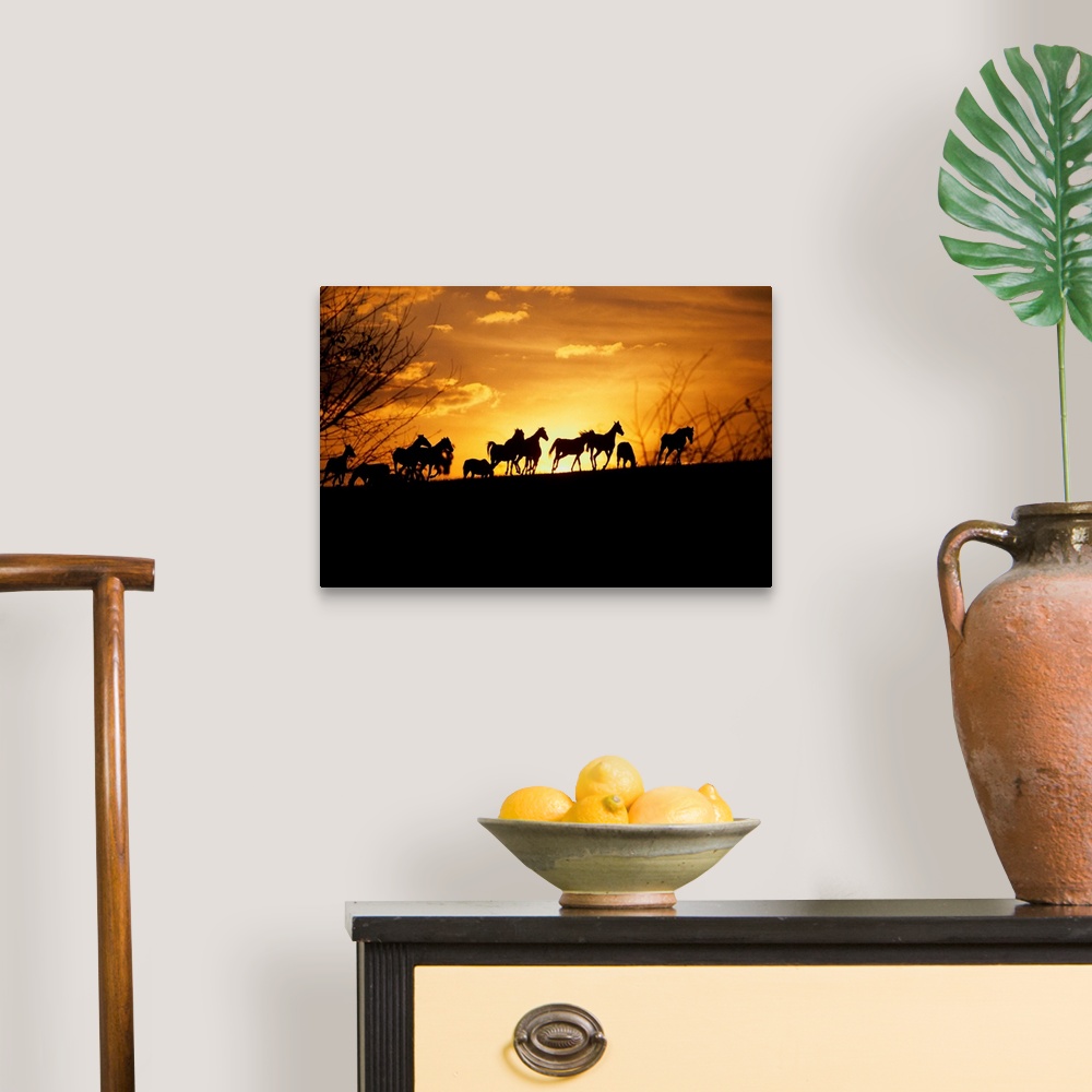 A traditional room featuring Large wall art of the silhouettes of horses running contrasted against a warm sunset.