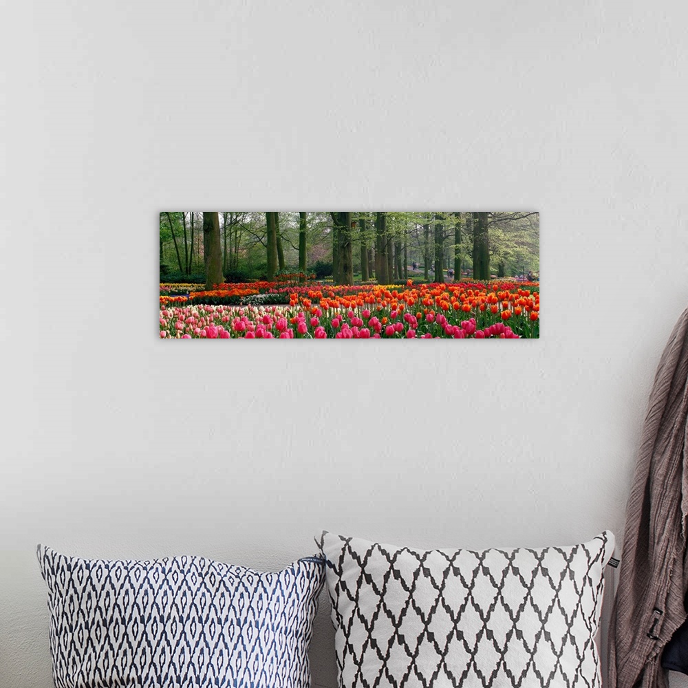 A bohemian room featuring Panoramic photograph of tulips with landscaped trees in the background.